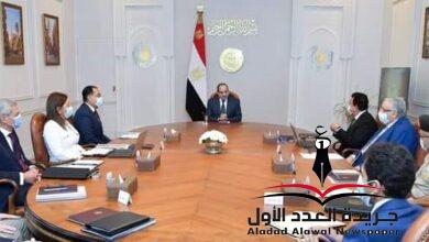 الرئيس عبد الفتاح السيسي يتابع مستجدات إنشاء منظومة المخازن الاستراتيجية للدواء