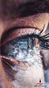 حماقة.. بقلم: عبير سعد 