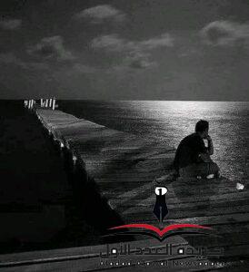 سكن الليل بقلم: رويدا عبد الحي