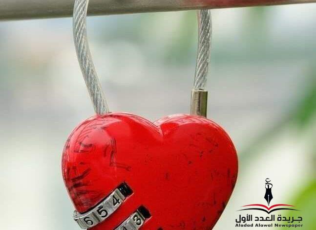قليلا بعد بقلم: خضر أبوزيد