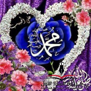نورٌ على نور بقلم: صلاح سالم عروة