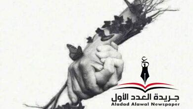 عودة