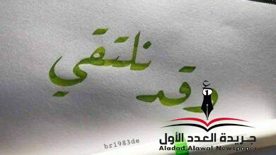 علّنا يومًا.. نَلتقي بقلم: ميادة منير