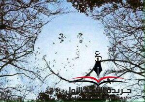 قوة الإرادة بقلم: شيماء عبد المقصود