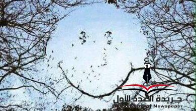 قوة الإرادة بقلم: شيماء عبد المقصود