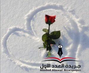إنِّي أعترف بقلم: ميرفت عبد الله