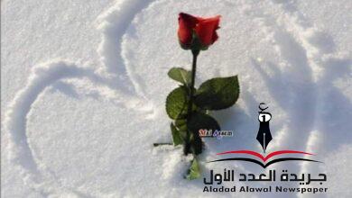 إنِّي أعترف بقلم: ميرفت عبد الله