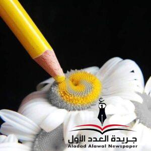 كأنها كتابة! بقلم: سمية الرمسيسي