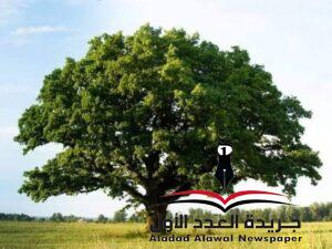 سوف أدفع الثمن بقلم: مصطفى نصر