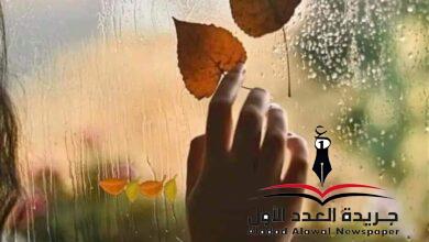 أي أنثى ستتربع على عرش قلبك يا رجل؟! بقلم: مونيا بنيو
