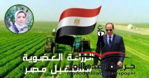 الزراعة العضوية مستقبل مصر بقلم: مديحة علي