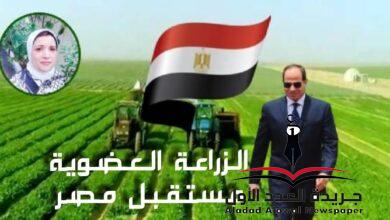 الزراعة العضوية مستقبل مصر بقلم: مديحة علي