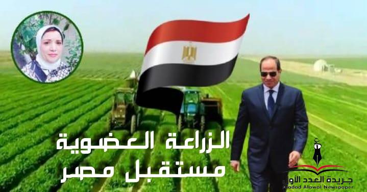 الزراعة العضوية مستقبل مصر بقلم: مديحة علي