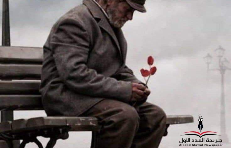 ضاع من عمري بقلم: هالة خالد بلبوص ضاع قلبي