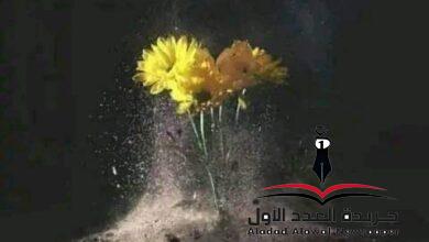 إمارة أحزاني بقلم: أمل أمين الخولي