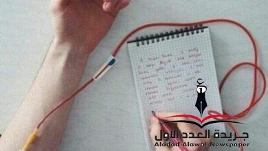 نبضٌ أنت بقلم: ميادة منير