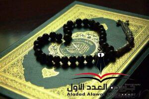 مقاصد القرآن يكتبه: محمد شبكة