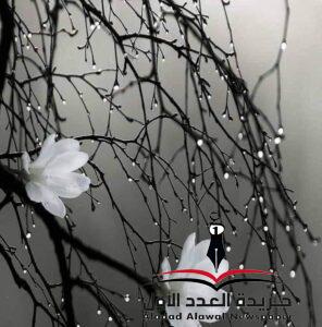 هدية العمربقلم: نجلاء فتحي