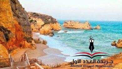 التقينا بقلم: نجاة عبداللطيف أبوالعطا
