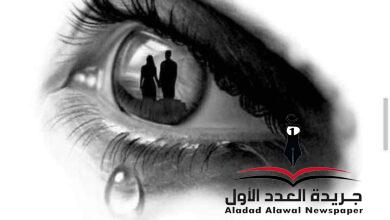 ثمة حلم بقلم: ماجدة أحمد