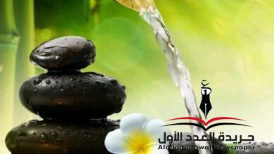 رحيل بقلم: عزت أباظة