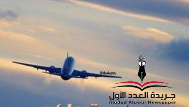 لعلها تأتي بقلم: مصطفى جميل