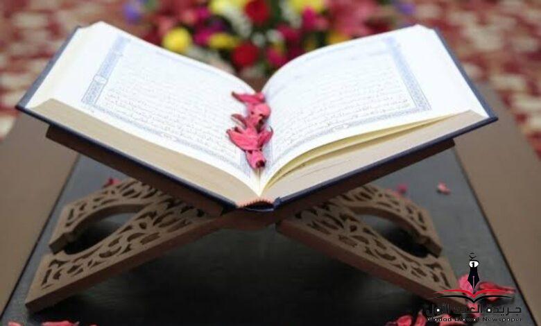 مما تعلمت بقلم: حنان أبوزيد