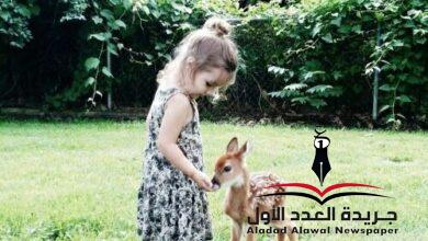 صباح الخير جدًّا بقلم: ولاء العشري
