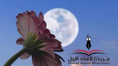 اليعسوب