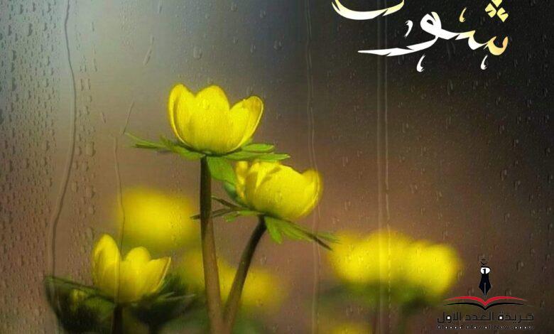 شوق