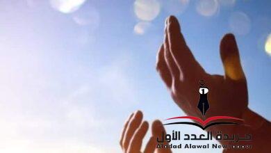 ربنا يكفيك