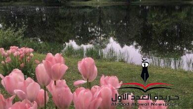 سكن الروح