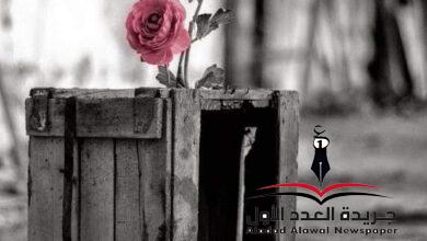 رد قلبي بقلم: إكرام التميمي