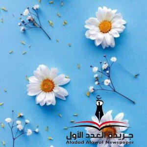 عزيز قلبيبقلم: مرام كيوان