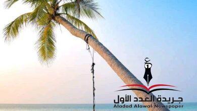 عزلة مألوفة بقلم: عزت أباظة