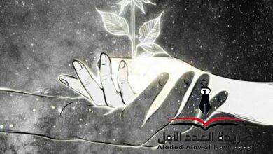 في الشتاء حنين بقلم: صفاء المنطاوي