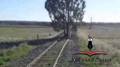 ظل ونار