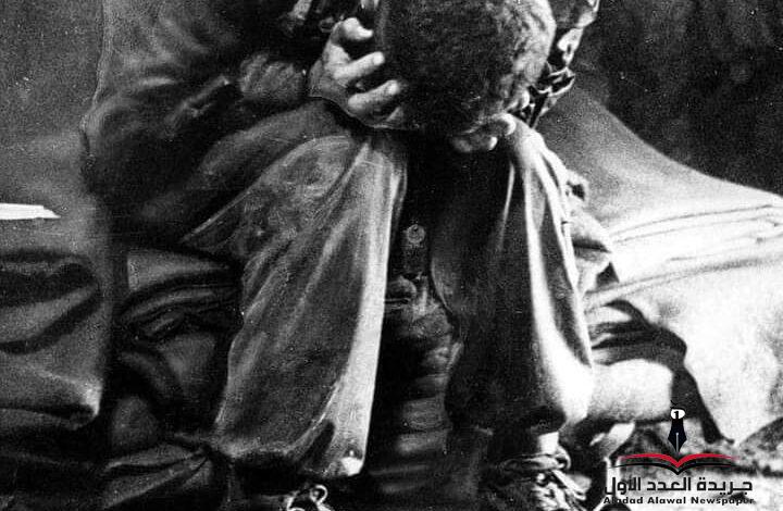 قلب استعمال بقلم: وحيد علي الجمال