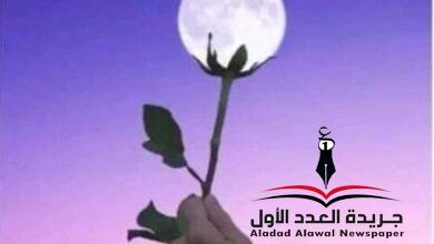 لقاءُ السراب بقلم: عبد الله البنداري