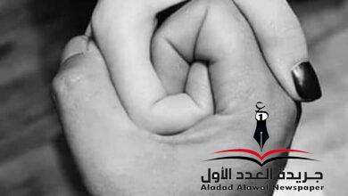 ماذا لو؟! بقلم: علي محفوظ