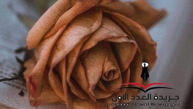بعضه.. حب بقلم: أسماء نورالدين