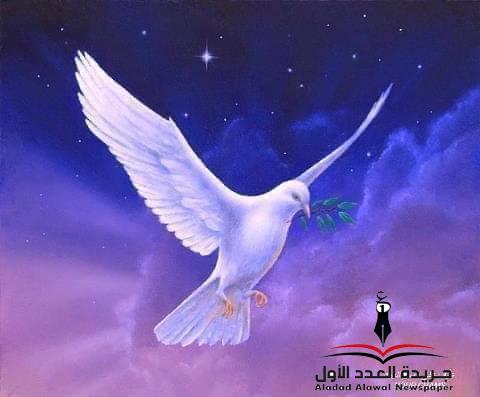 طائر الأمنيات بقلم: مها عويس