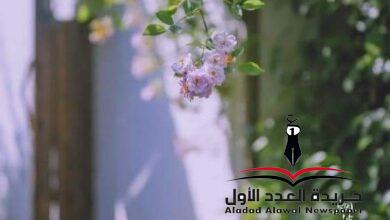 توقف عن لمسها بقلم: مصطفى الحوتي