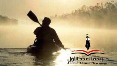 لماذا؟! بقلم: نجاة عبد اللطيف