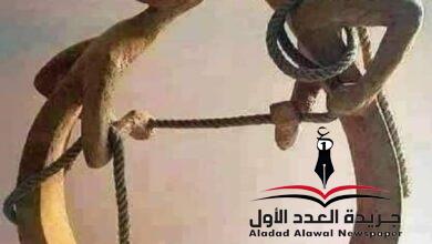 كن صديقًا بقلم: رباب عبدالفتاح