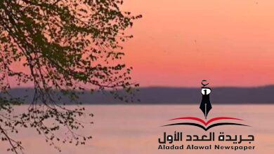 الصورة الكاملة