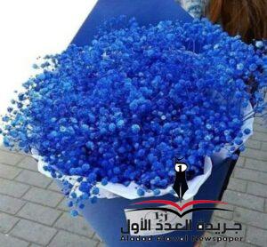 الاهتمام الذاتي 