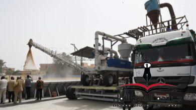 محافظ قنا يشهد انطلاق موسم توريد القمح لعام 2023