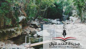 المطرب أمين سلطان 