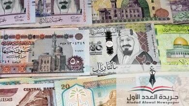 بعد قفزة الدولار ارتفاع سعر الريال السعودي مقابل الجنيه - جريدة العدد الأول
